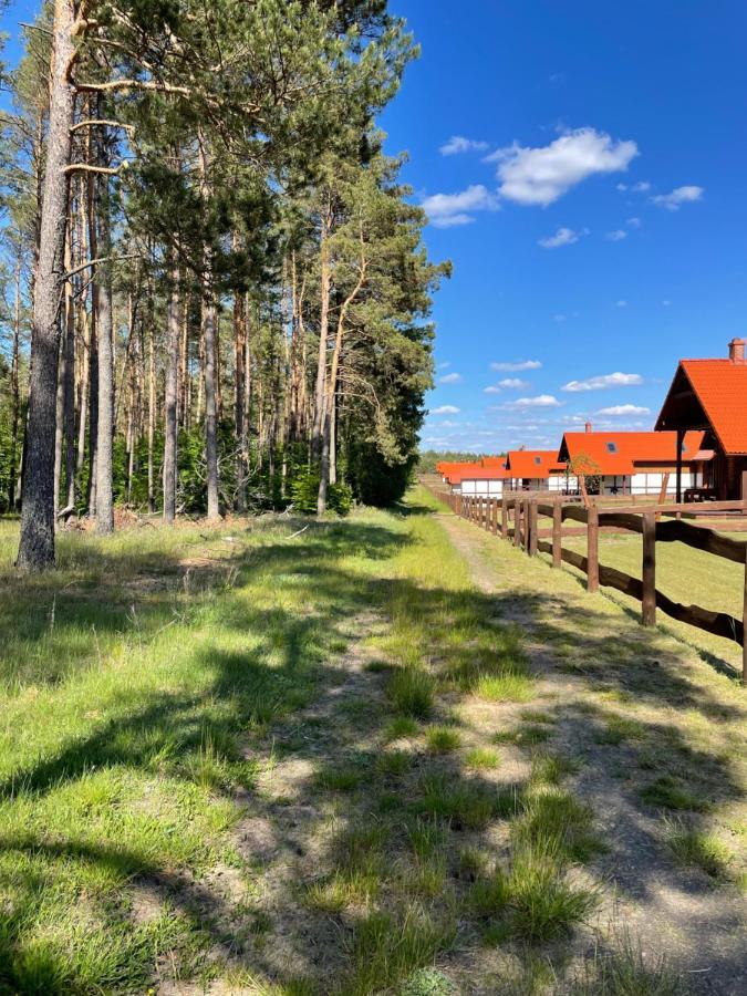Domek Pod Lasem 45,1 Ostoja Bukowo Villa Borowy Mlyn Exterior foto